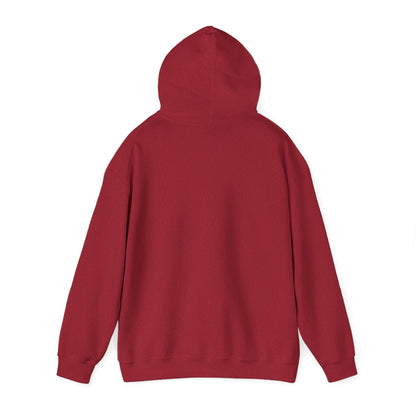 ThunderCats Logo Hoodie