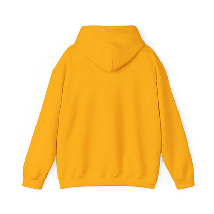 ThunderCats Logo Hoodie