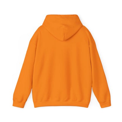 ThunderCats Logo Hoodie