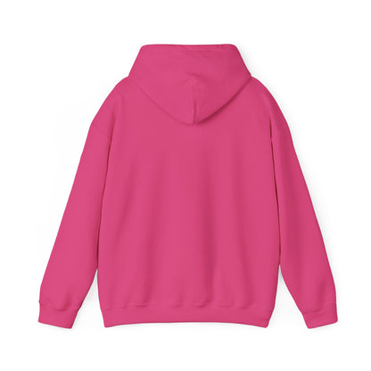 ThunderCats Logo Hoodie