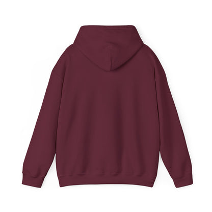 ThunderCats Logo Hoodie