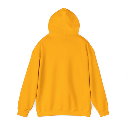 ThunderCats Logo Hoodie