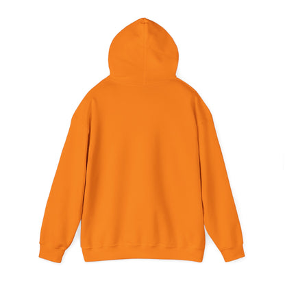 ThunderCats Logo Hoodie