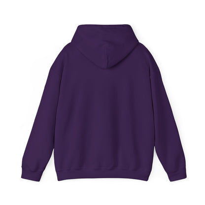ThunderCats Logo Hoodie