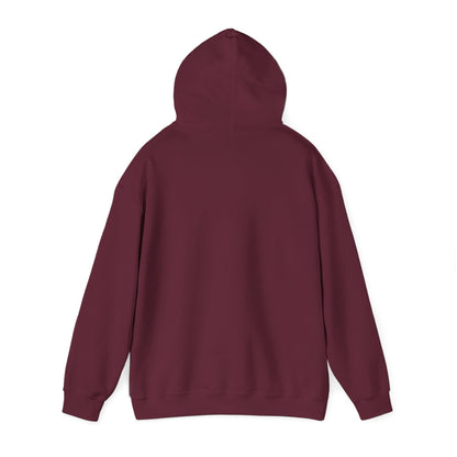 ThunderCats Logo Hoodie