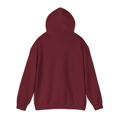ThunderCats Logo Hoodie