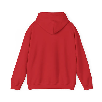 ThunderCats Logo Hoodie