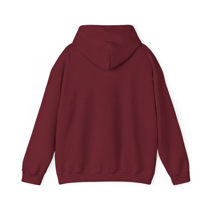 ThunderCats Logo Hoodie