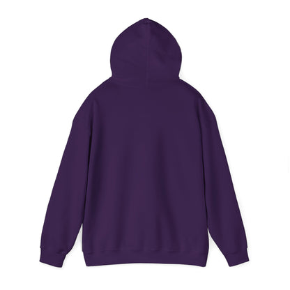 ThunderCats Logo Hoodie